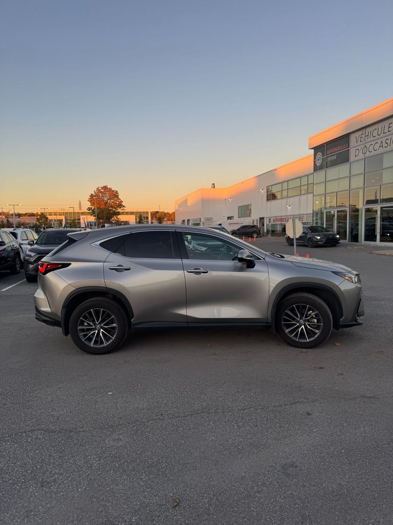 2024 Lexus NX NX 350h