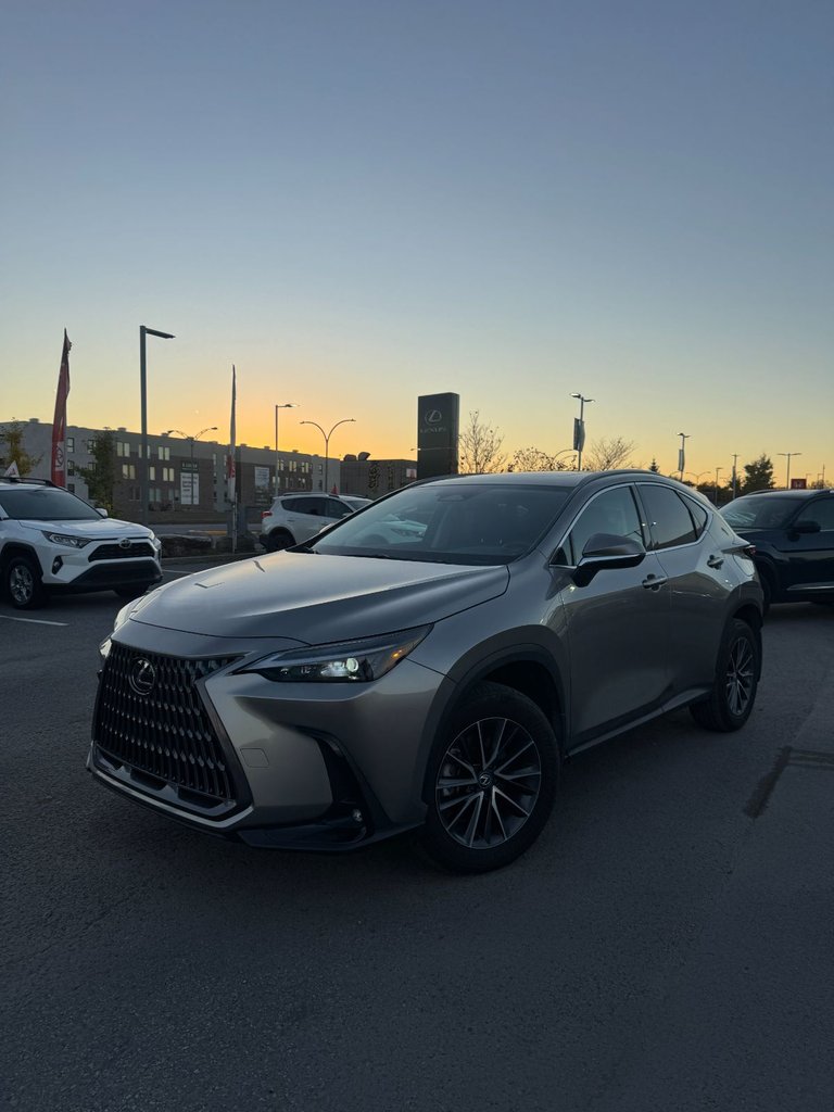 2024 Lexus NX NX 350h