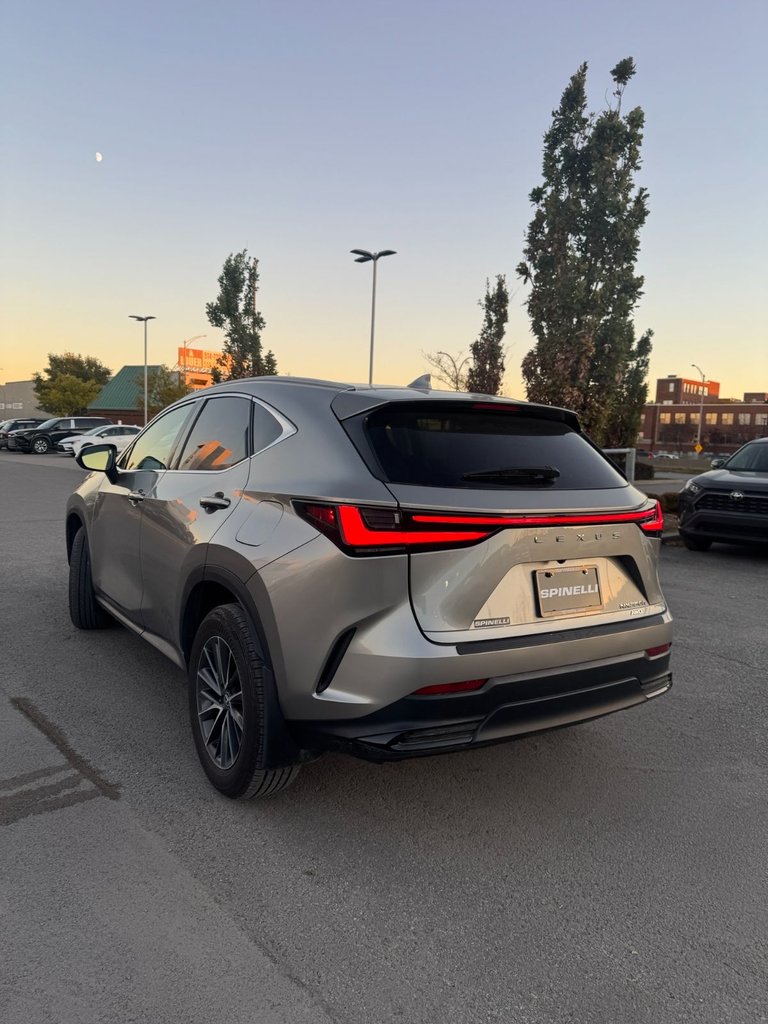 2024 Lexus NX NX 350h