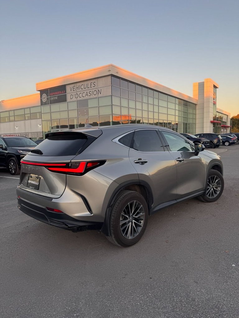 2024 Lexus NX NX 350h