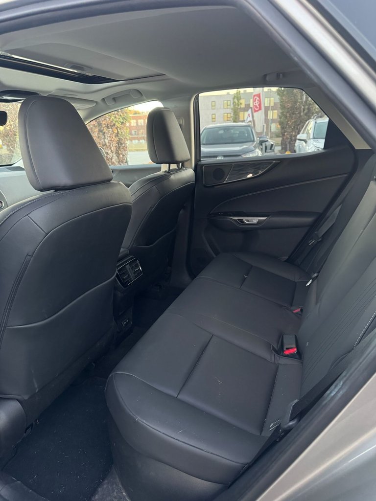 2024 Lexus NX NX 350h